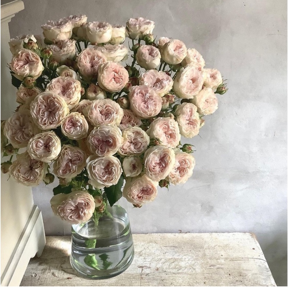 🎐 Thank you! 🎐